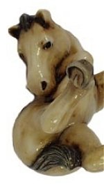 Foal